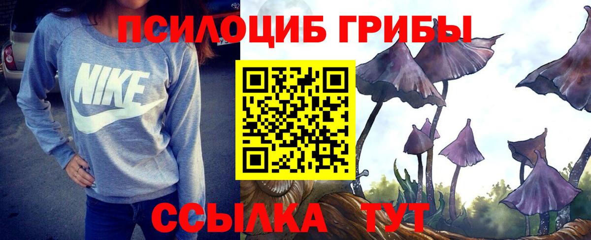 Псилоцибиновые грибы мухоморы  Вход с VPN  Камышин 