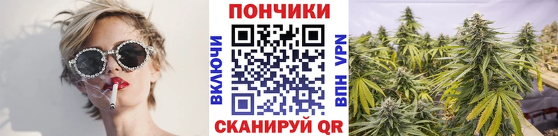 МАРИХУАНА ГИДРОПОН  Камышин 